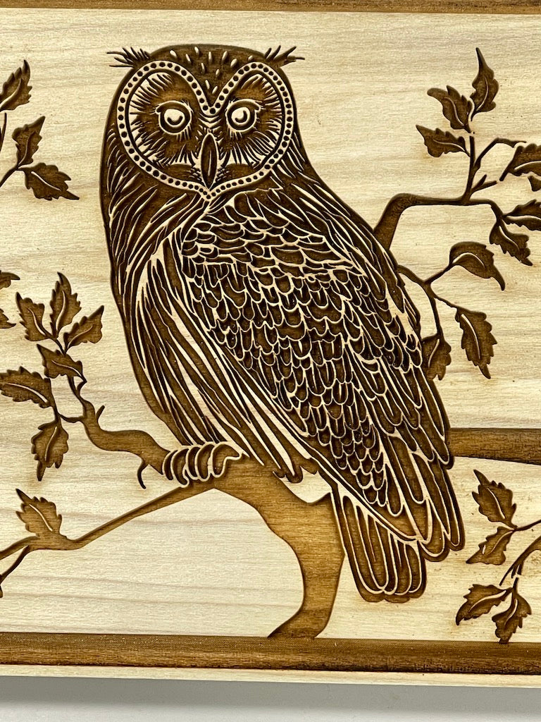 Owls Textured Mug Plank