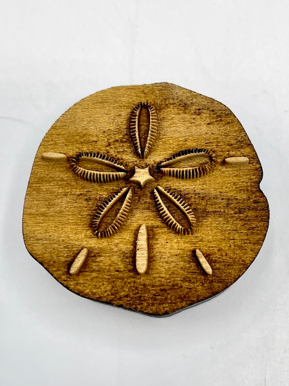 All Products - Sand Dollars - www.