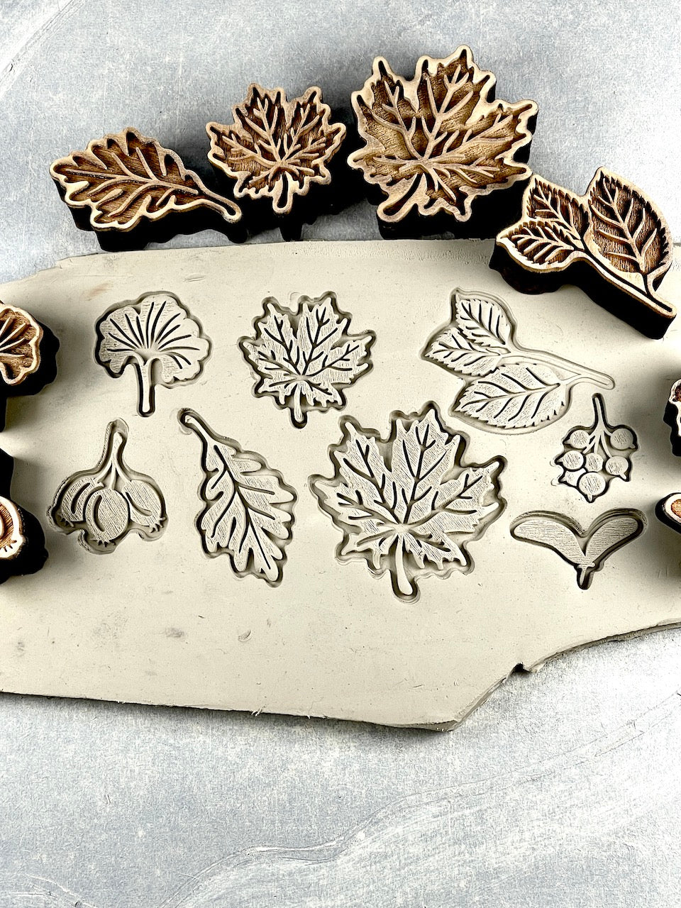 Autumn Leaves (Ginkgo Leaf) - Stamp