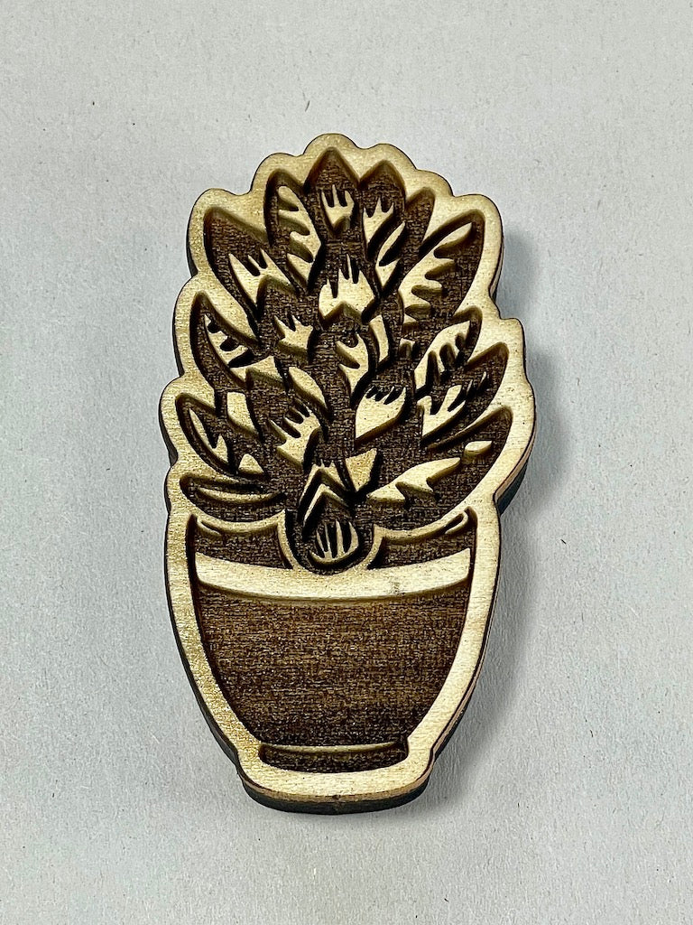 Succulents- Stamp (Dorothy Crassula)