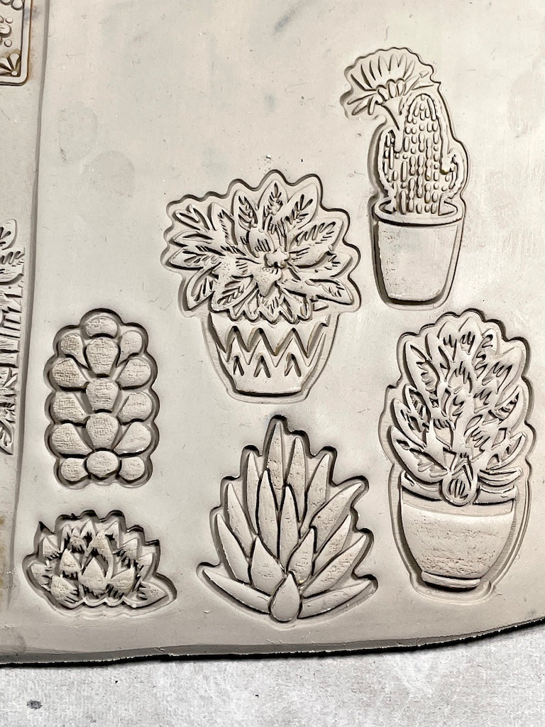 Succulents- Stamp (Burros Tail)