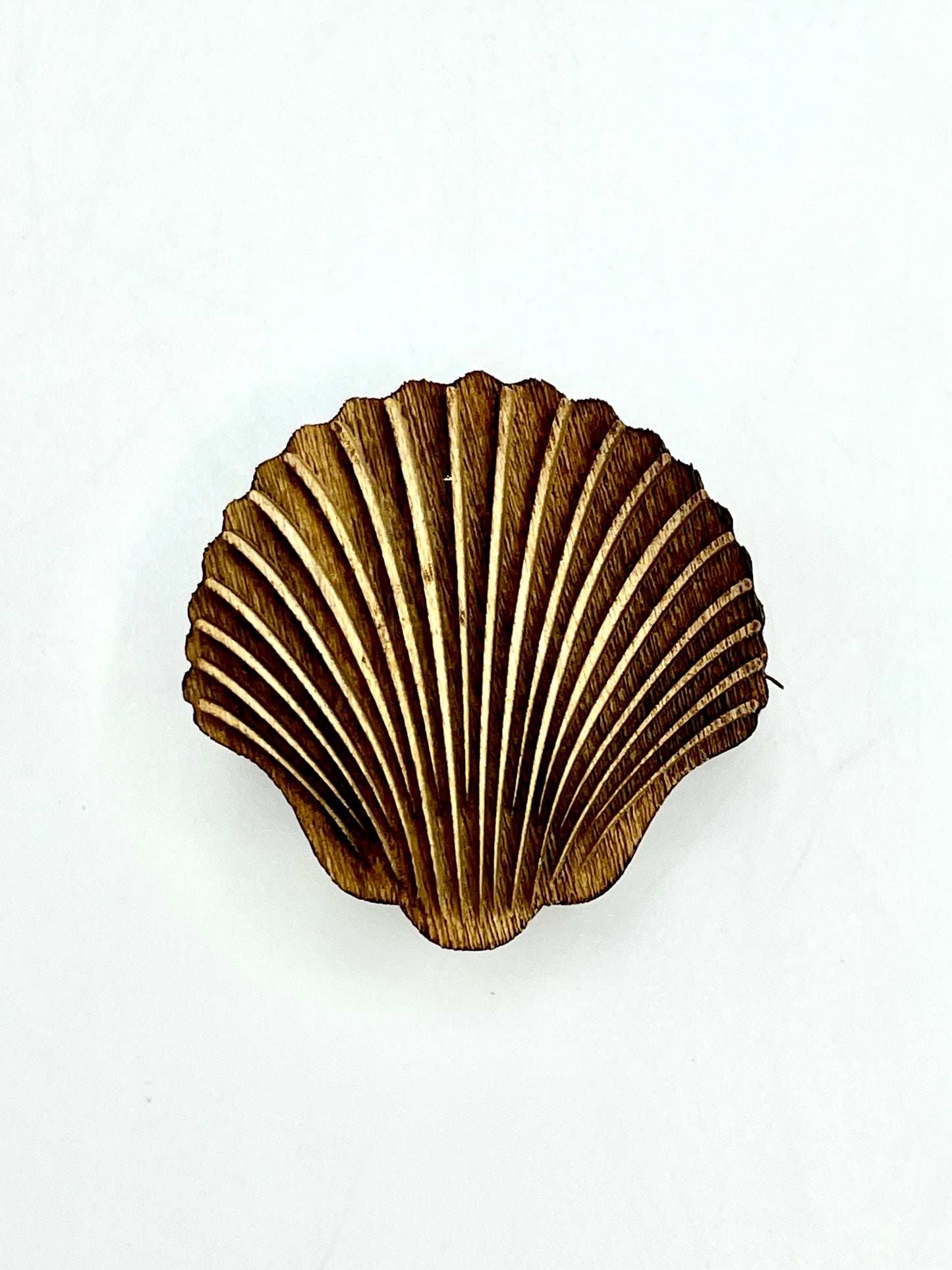 Clam Shell (Small)- Stamp
