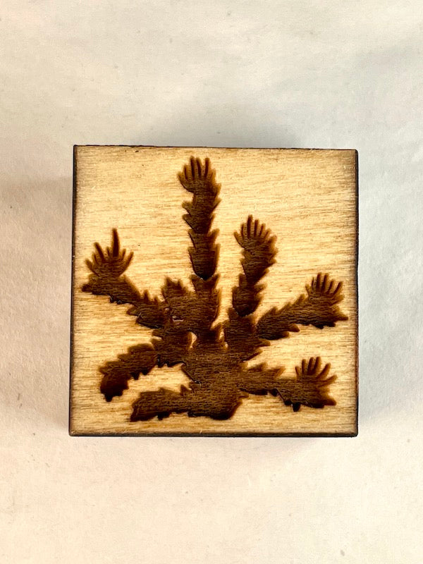 Southwest Collection- Cholla Cactus- Stamp